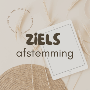 Zielsafstemming Praktijk Juliette